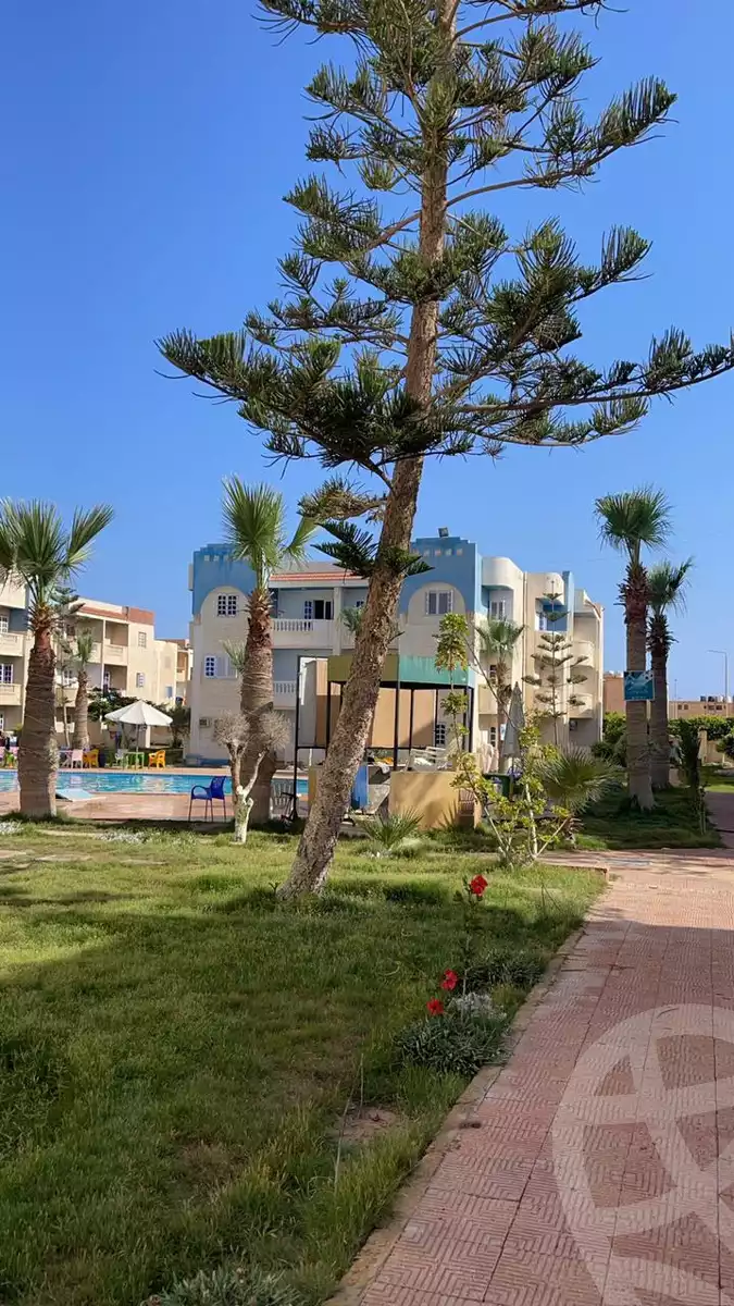 https://aqarmap.com.eg/ar/listing/4884335-for-rent-marsa-matruh-marsa-matrouh-city