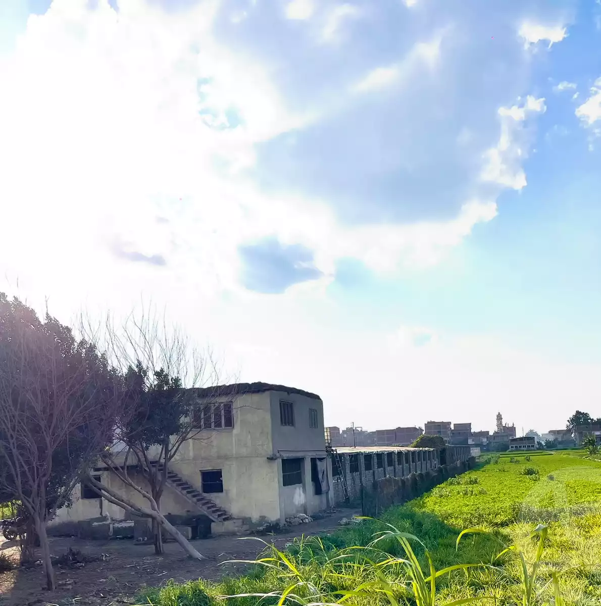 https://aqarmap.com.eg/en/listing/6197931-for-sale-dakahlia-mit-ghamr-mit-ghamr-city