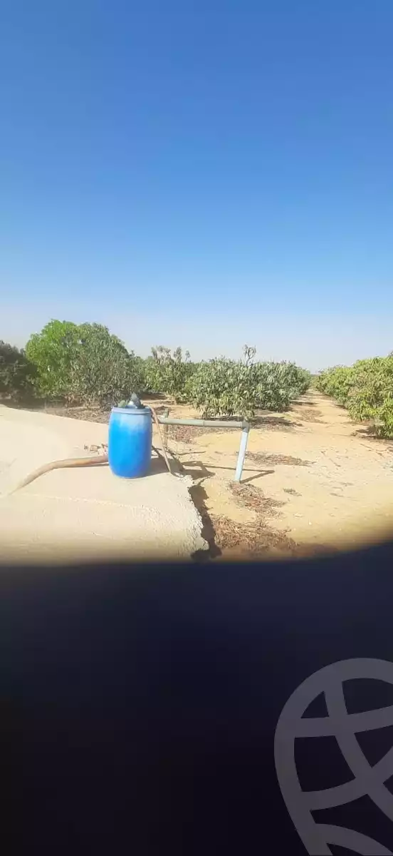 https://aqarmap.com.eg/ar/listing/6198020-for-sale-ismailia-tall-el-kebir