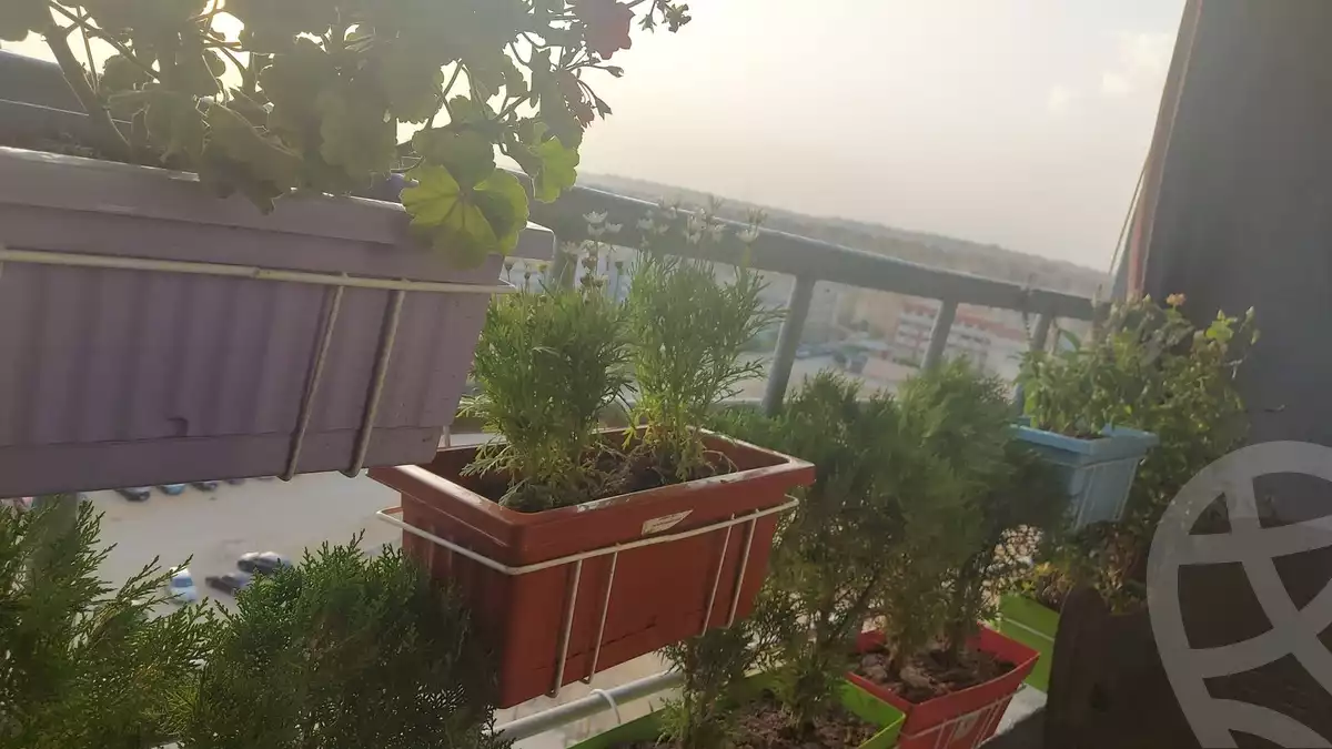 https://aqarmap.com.eg/ar/listing/6198433-for-sale-cairo-el-maadi-compounds-bitcho-american-city