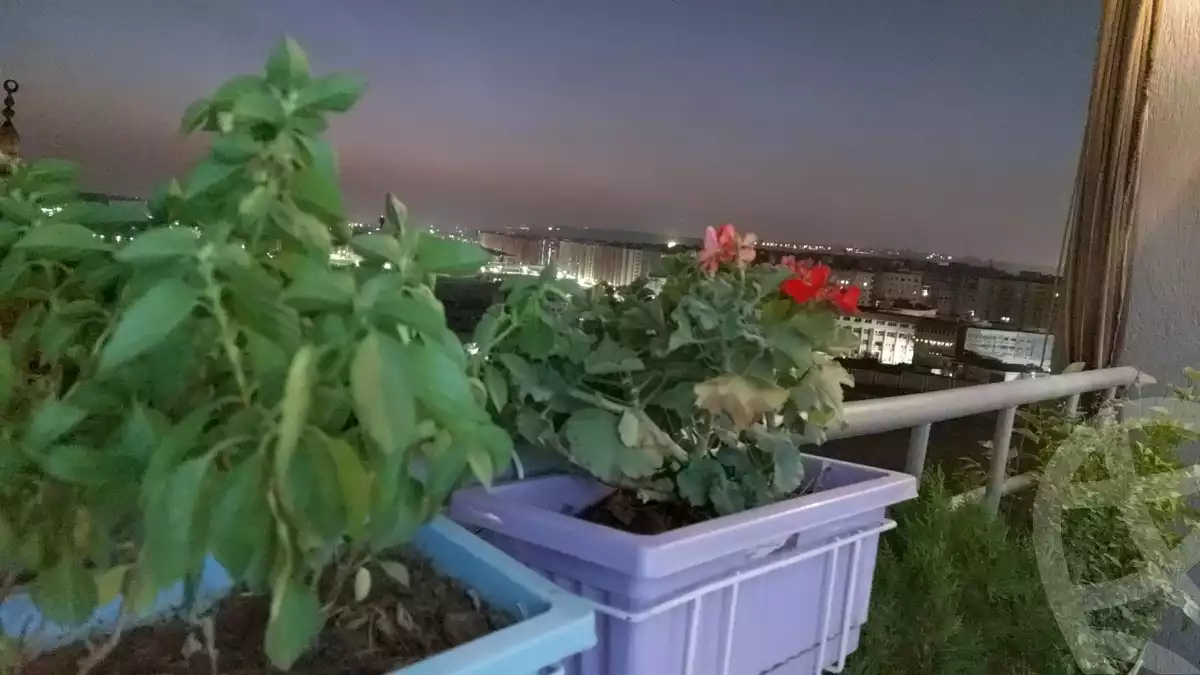 https://aqarmap.com.eg/ar/listing/6198433-for-sale-cairo-el-maadi-compounds-bitcho-american-city