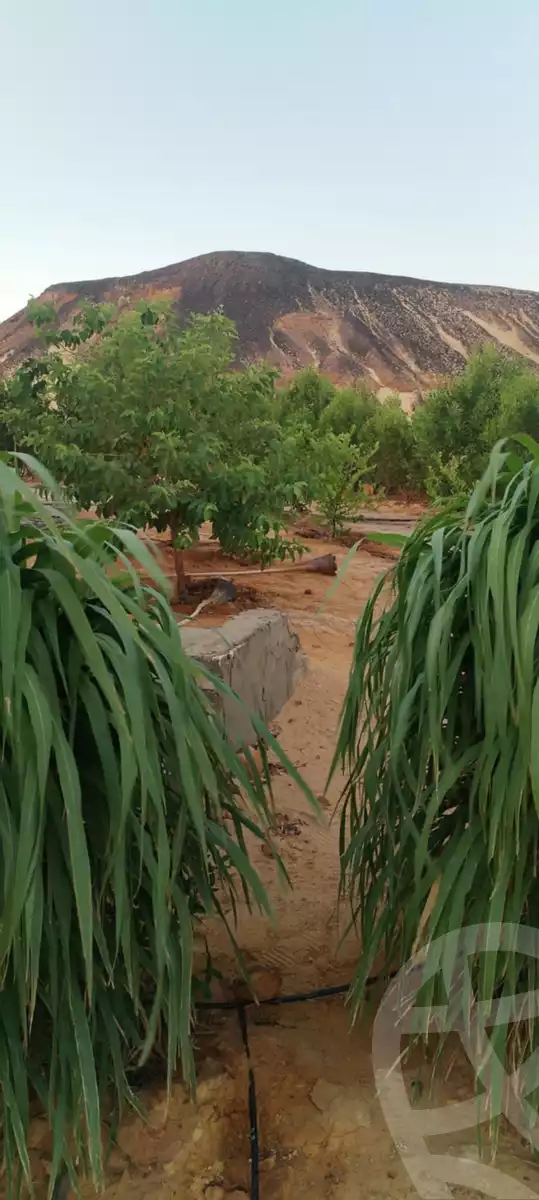 https://aqarmap.com.eg/ar/listing/5797731-for-sale-cairo-ljyz-bahariya-oasis