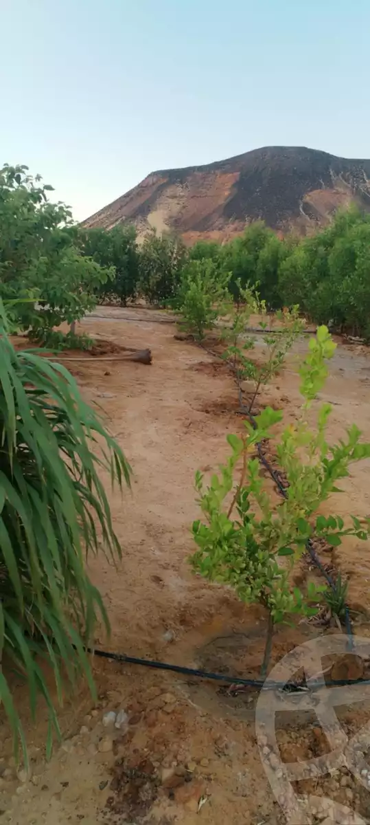 https://aqarmap.com.eg/ar/listing/5797731-for-sale-cairo-ljyz-bahariya-oasis