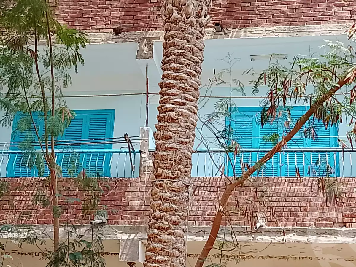 https://aqarmap.com.eg/en/listing/6204539-for-rent-sharqia-zagazig-zagazig-city