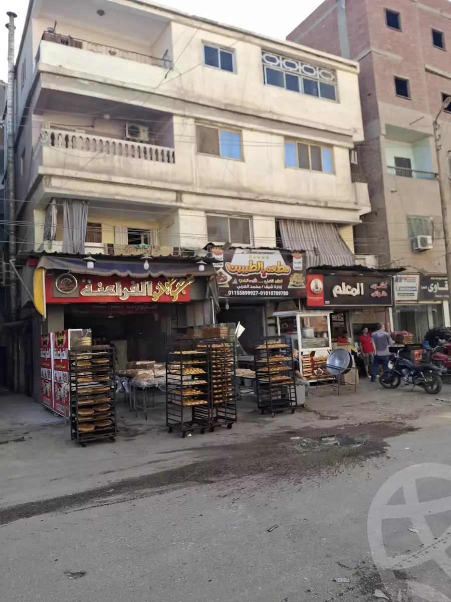 https://aqarmap.com.eg/en/listing/6205617-for-sale-sharqia-el-hesenya-el-hosayneya-city