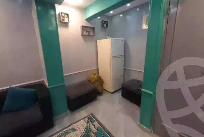 https://aqarmap.com.eg/en/listing/6207692-for-rent-cairo-manial-manial-st