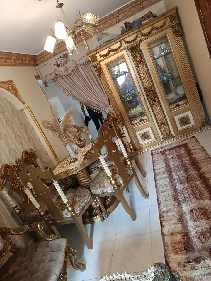 https://aqarmap.com.eg/ar/listing/6208280-for-sale-alexandria-ganaklis