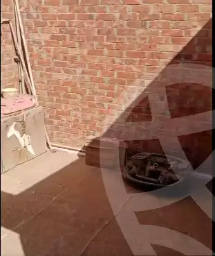 https://aqarmap.com.eg/en/listing/6211792-for-sale-monufia-shibin-el-kom