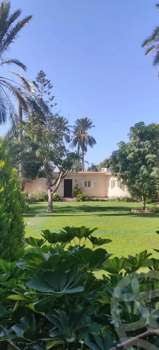 https://aqarmap.com.eg/en/listing/6211893-for-sale-alexandria-king-maryot-omar-el-mokhtar-st