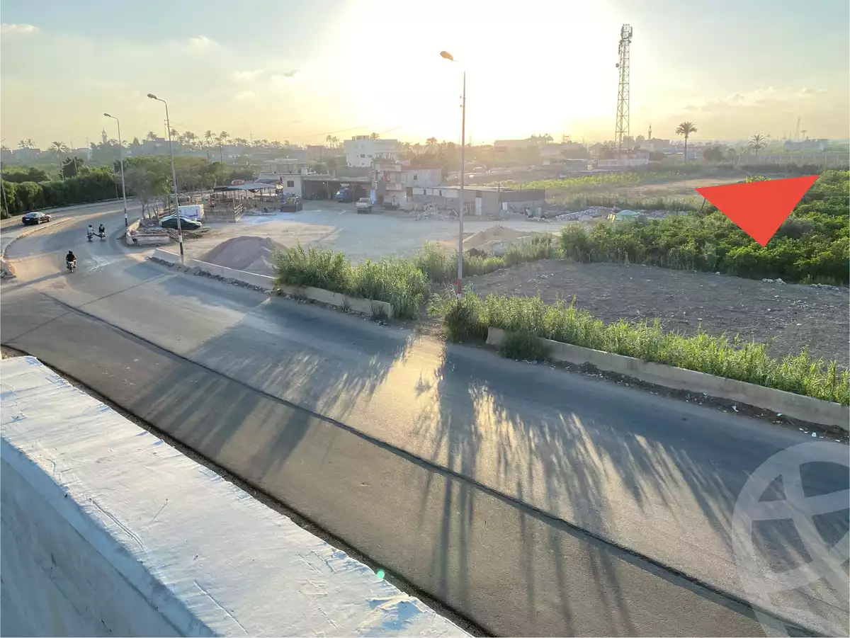 https://aqarmap.com.eg/ar/listing/6213411-for-sale-alexandria-miami-45-street