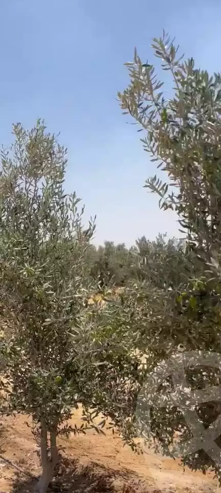 https://aqarmap.com.eg/ar/listing/6213868-for-sale-beheira-wadi-el-natrun