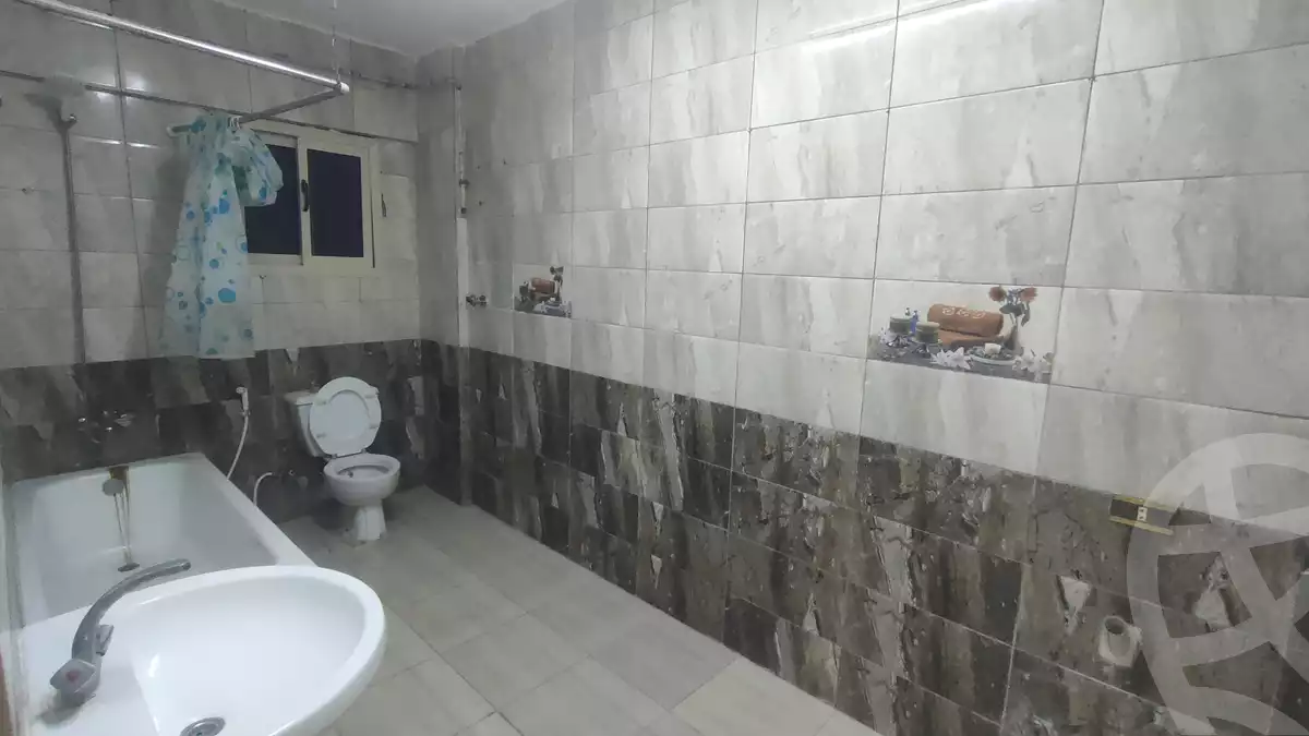 https://aqarmap.com.eg/en/listing/6216998-for-rent-cairo-nasr-city-9th-zone-el-sadat-st