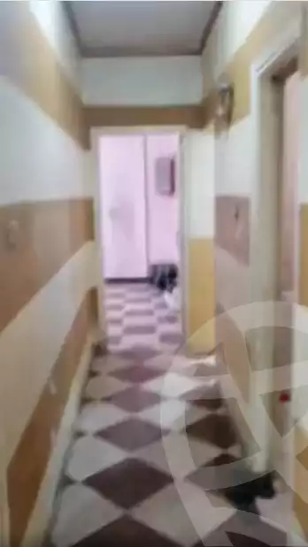 https://aqarmap.com.eg/en/listing/6221338-for-rent-qalyubia-shubra-el-khaima