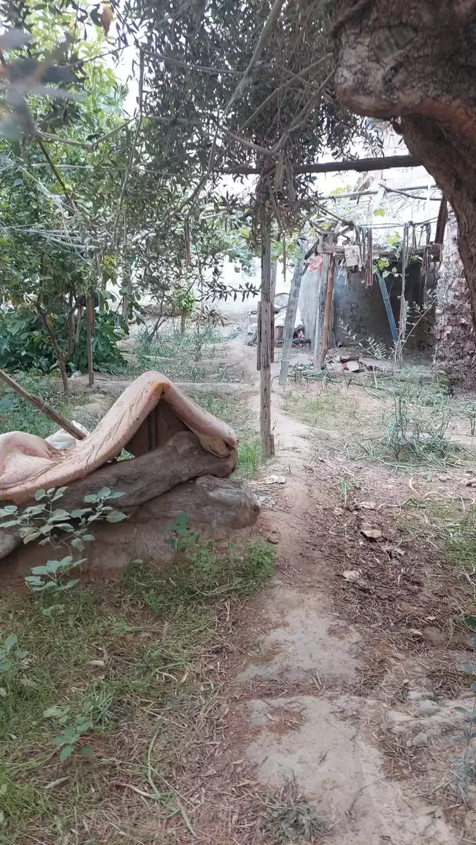 https://aqarmap.com.eg/en/listing/6225997-for-sale-ismailia-kassassin