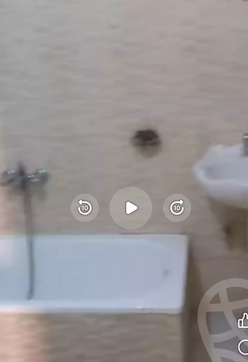 https://aqarmap.com.eg/en/listing/6232349-for-sale-cairo-ain-shams-el-naam