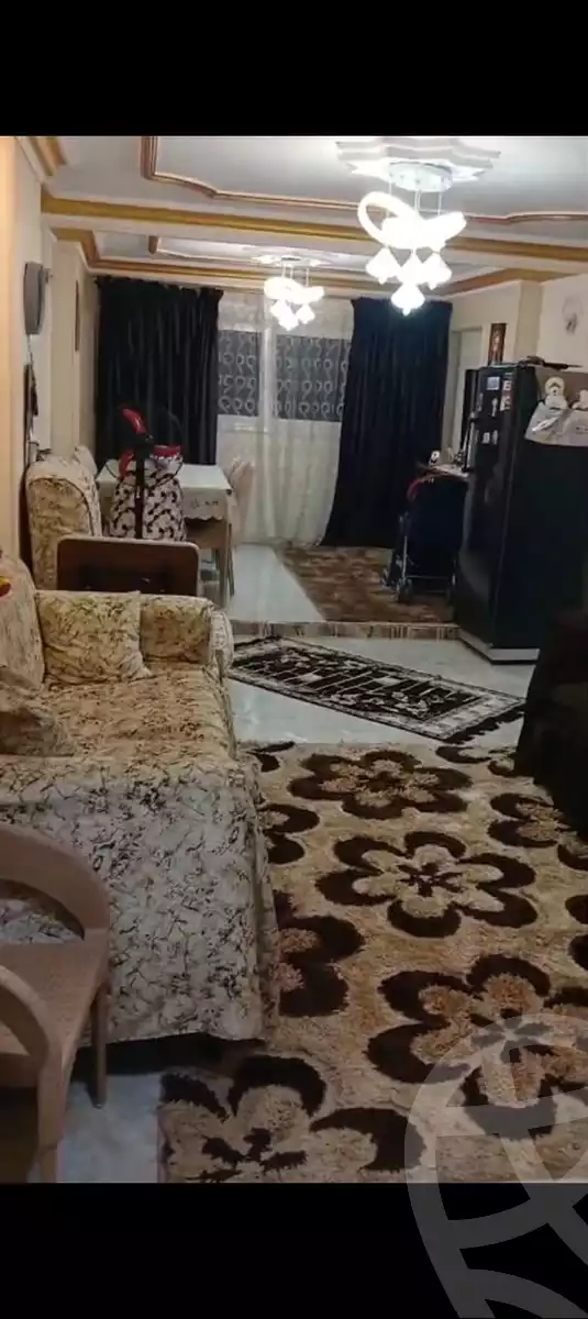 https://aqarmap.com.eg/ar/listing/6232923-for-sale-cairo-ain-shams-ain-shams-el-sharkia-el-horeya-st
