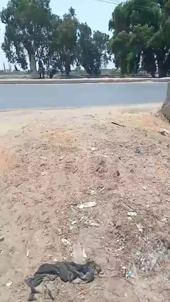 https://aqarmap.com.eg/en/listing/6232926-for-sale-ismailia-tall-el-kebir