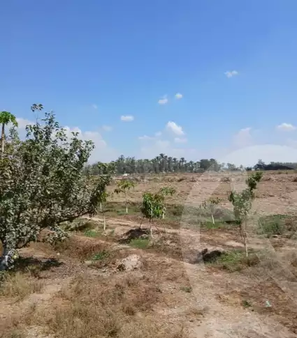 https://aqarmap.com.eg/en/listing/6236170-for-sale-alexandria-el-amreya