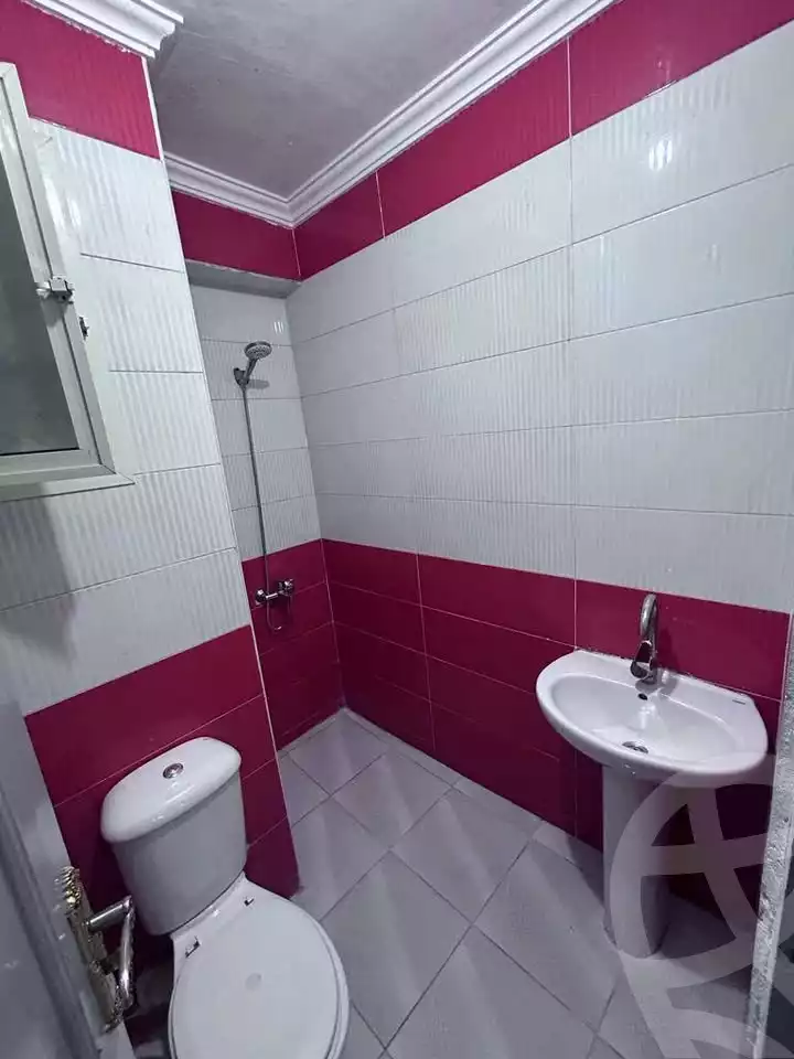 https://aqarmap.com.eg/en/listing/6237276-for-sale-cairo-ain-shams-mnshy-lthryr