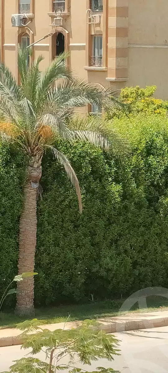 https://aqarmap.com.eg/ar/listing/6237451-for-sale-cairo-el-shorouk-lmntq-lsb-neighbourhood-1