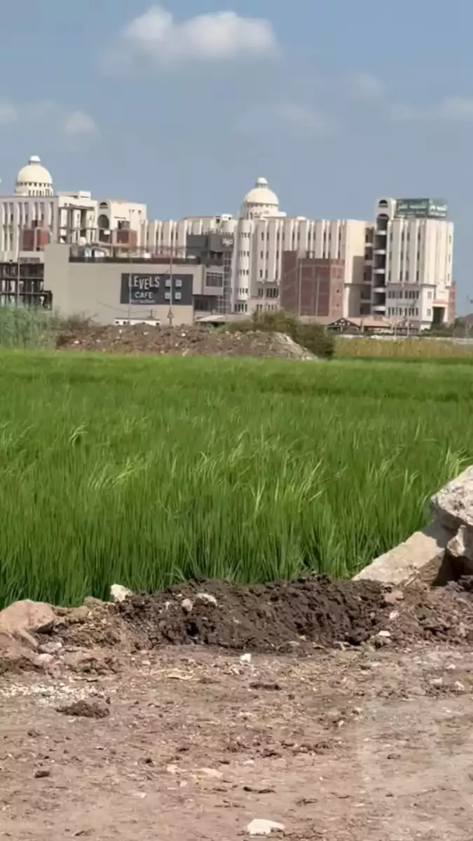 https://aqarmap.com.eg/en/listing/6238138-for-sale-dakahlia-mansoura-hay-el-ashgar