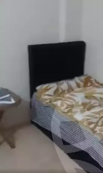 https://aqarmap.com.eg/ar/listing/6241939-for-rent-suez-suez-city-suez-city