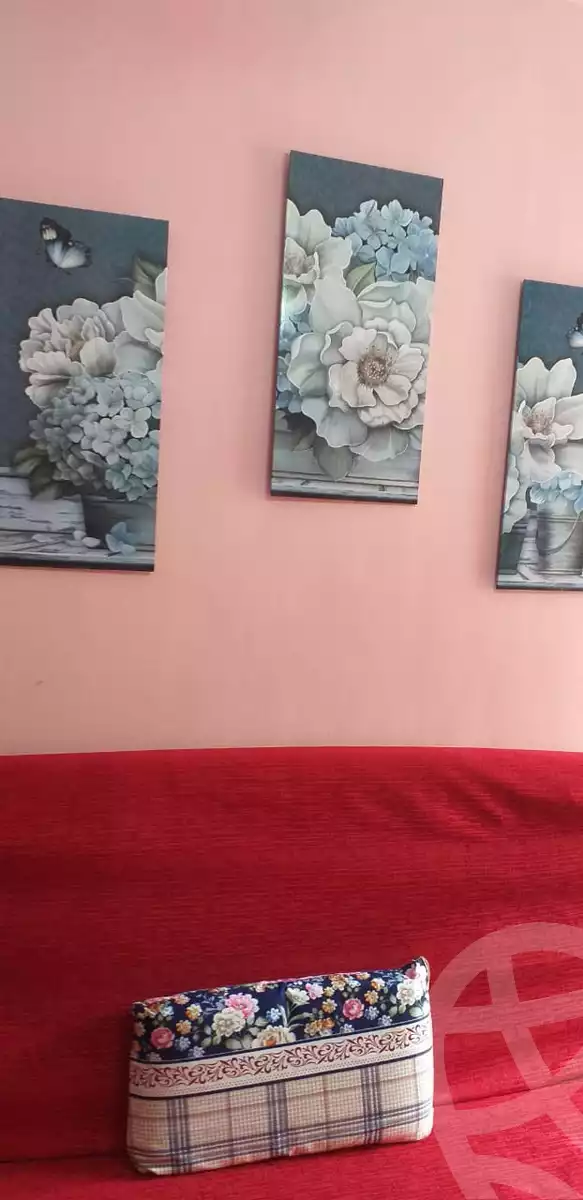https://aqarmap.com.eg/en/listing/6241989-for-sale-alexandria-miami-el-gaish-rd-st