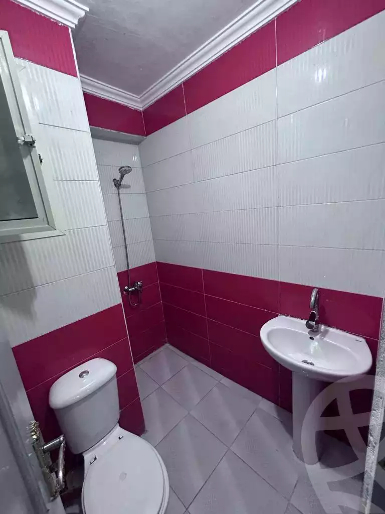 https://aqarmap.com.eg/en/listing/6242559-for-sale-cairo-ain-shams-mnshy-lthryr