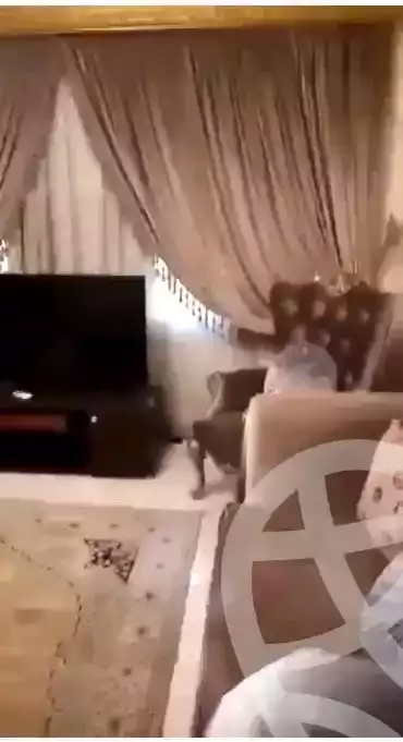 https://aqarmap.com.eg/ar/listing/6243488-for-sale-cairo-el-maadi-el-maadi-el-qadema