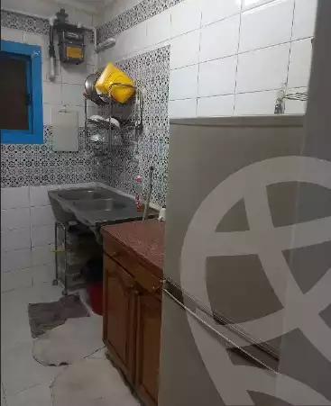 https://aqarmap.com.eg/en/listing/6246203-for-rent-cairo-manial