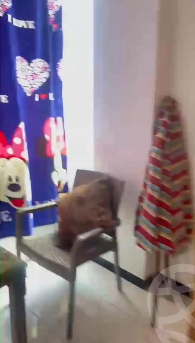 https://aqarmap.com.eg/en/listing/6251093-for-rent-alexandria-l-jmy-shataa-el-nakheel