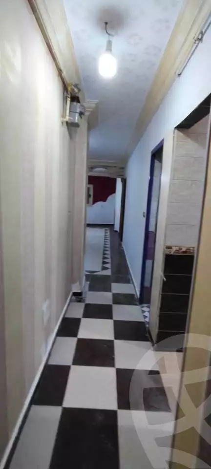https://aqarmap.com.eg/en/listing/6251628-for-rent-cairo-ain-shams-ain-shams-el-sharkia-el-fairouz-st