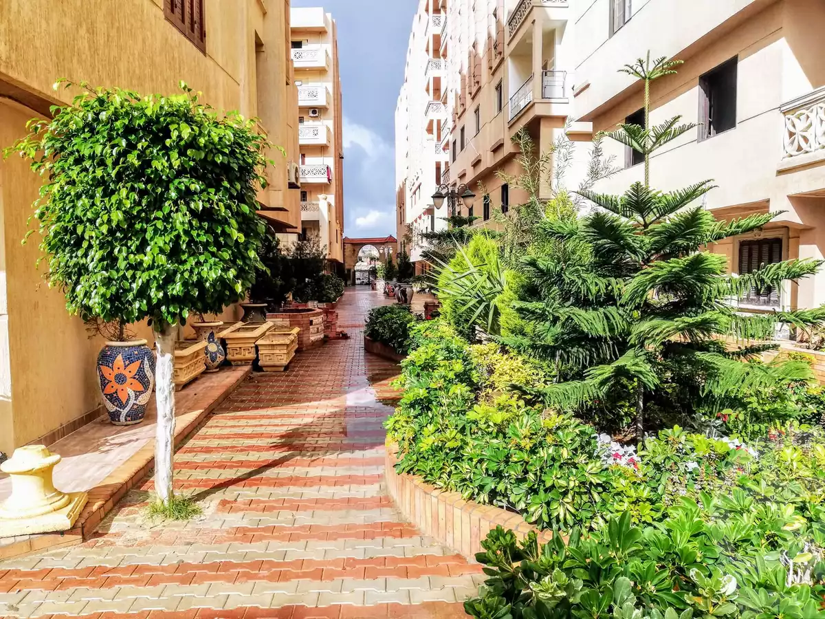 https://aqarmap.com.eg/ar/listing/6254503-for-sale-alexandria-l-jmy-el-kilo-21