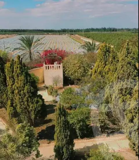 https://aqarmap.com.eg/en/listing/6255429-for-sale-beheira-wadi-el-natrun