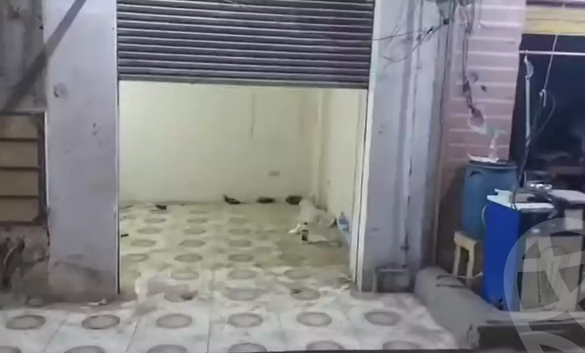https://aqarmap.com.eg/ar/listing/6256736-for-sale-qalyubia-shubra-el-khaima-shubra-el-khaima-city-teraat-el-shabouri-st