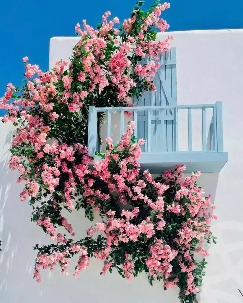 https://aqarmap.com.eg/ar/listing/6261939-for-sale-north-coast-resorts-lvls-resort-mountain-view