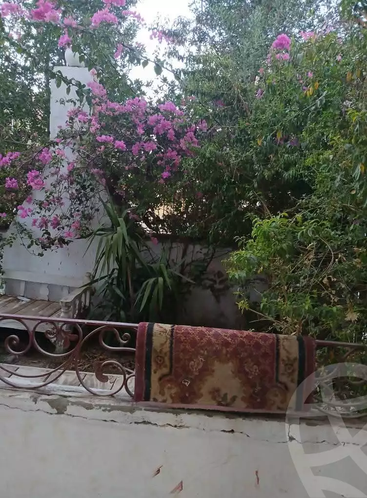 https://aqarmap.com.eg/en/listing/6264934-for-sale-sohag-mdyn-swhj-ljdyd-lhy-lwl