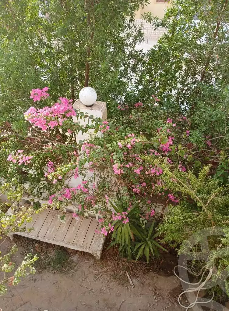https://aqarmap.com.eg/en/listing/6264934-for-sale-sohag-mdyn-swhj-ljdyd-lhy-lwl