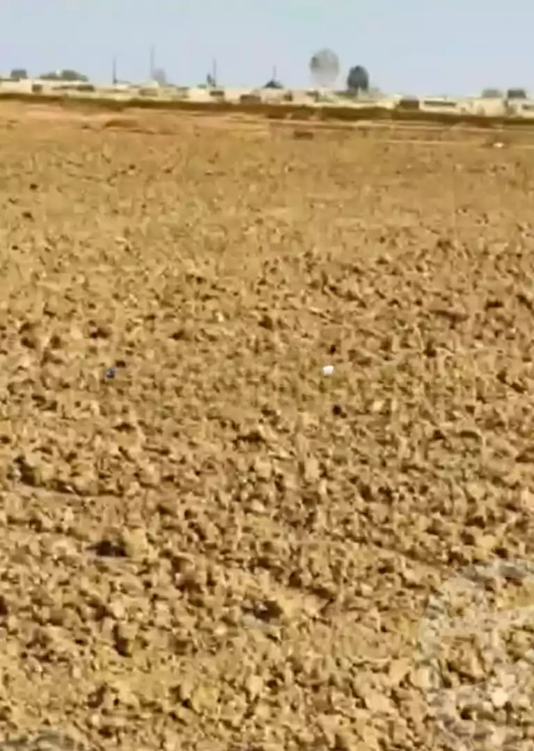 https://aqarmap.com.eg/ar/listing/6264962-for-sale-el-fayoum-tamiya-el-gomhoria