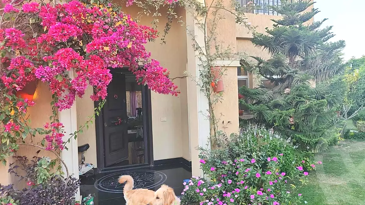https://aqarmap.com.eg/en/listing/5963350-for-rent-cairo-new-cairo-compounds-stone-park