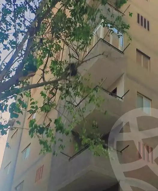 https://aqarmap.com.eg/en/listing/6269327-for-sale-cairo-el-haram-el-taawon