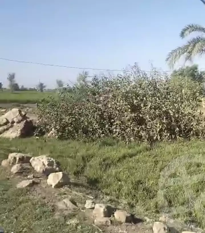 https://aqarmap.com.eg/en/listing/6276095-for-sale-dakahlia-mansoura-el-nahda-city