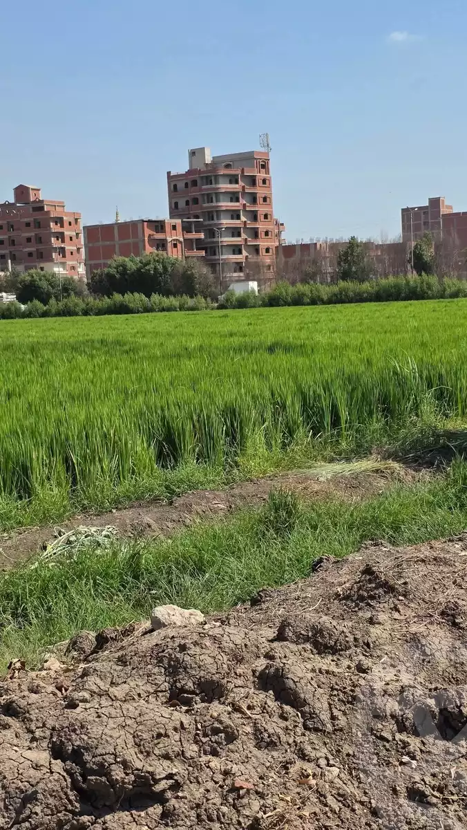 https://aqarmap.com.eg/en/listing/6276518-for-sale-sharqia-zagazig-zagazig-city-el-ahrar-rd