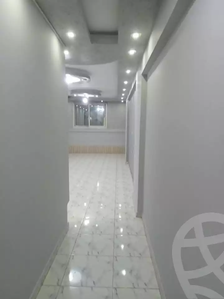 https://aqarmap.com.eg/en/listing/6278833-for-rent-cairo-faisal
