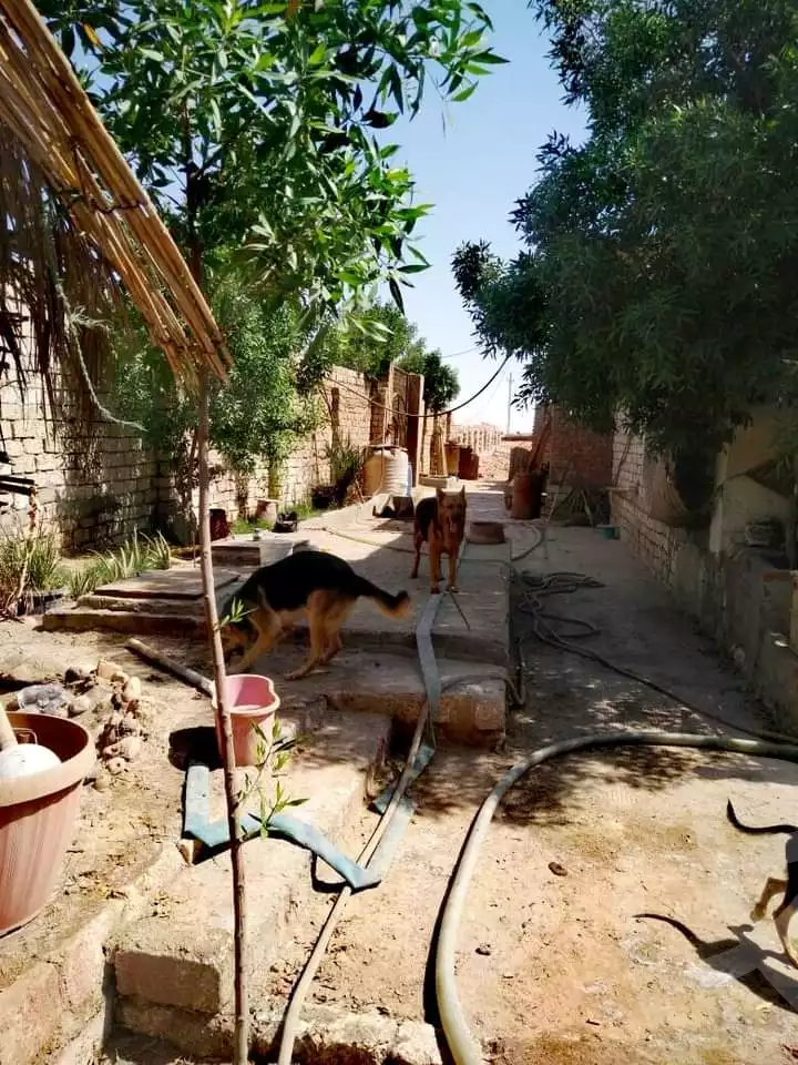 https://aqarmap.com.eg/ar/listing/6281081-for-sale-cairo-ljyz-el-saf-ghammaza-el-kobra-village