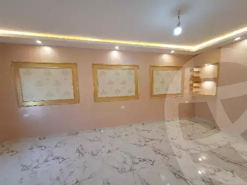 https://aqarmap.com.eg/en/listing/6287659-for-rent-cairo-new-cairo-90th-street-south-teseen-st