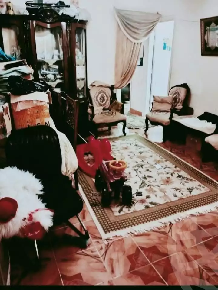 https://aqarmap.com.eg/ar/listing/6287720-for-sale-alexandria-l-jmy-lbytsh-el-talkhawy-st