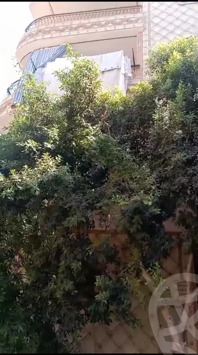 https://aqarmap.com.eg/ar/listing/6290840-for-sale-cairo-el-haram-el-maryotya-ragab-el-shorbagy-st