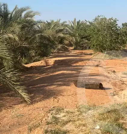 https://aqarmap.com.eg/ar/listing/6292165-for-sale-alexandria-cairo-alexandria-desert-road