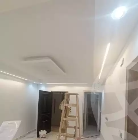 https://aqarmap.com.eg/en/listing/6292799-for-rent-qalyubia-shubra-el-khaima